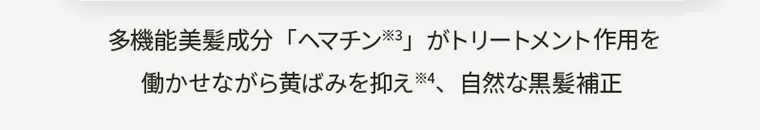 多機能美髪成分「ヘマチン※3」がトリートメント作用を働かせながら黄ばみを抑え※4、自然な黒髪補正