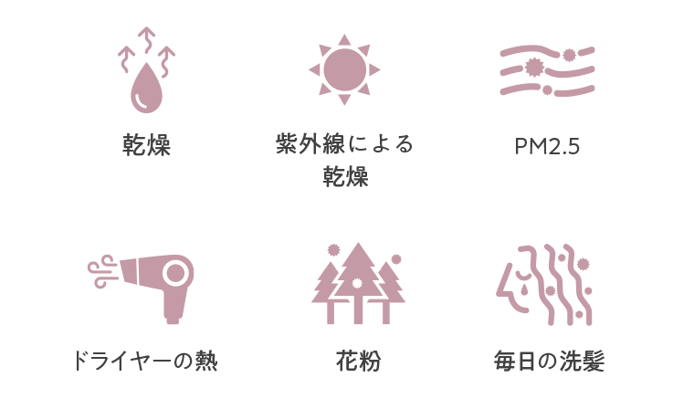 乾燥／紫外線による乾燥／PM2.5／ドライヤーの熱／花粉／毎日の洗髪