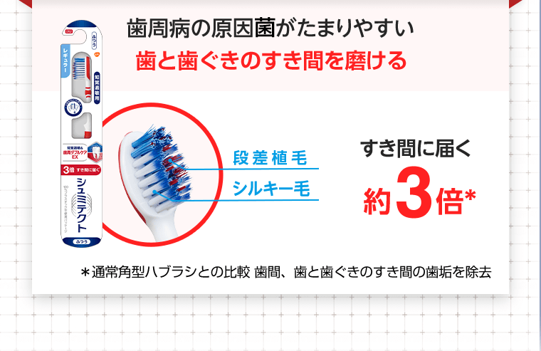 歯周病の原因菌がたまりやすい歯と歯ぐきのすき間を磨ける　すき間に届く約3倍*　*通常角型ハブラシとの比較 歯間、歯と歯ぐきのすき間の歯垢を除去