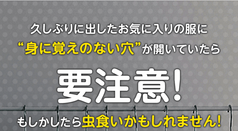 久しぶりに出したお気に入りの服に“身に覚えのない穴”が開いていたら要注意！もしかしたら虫食いかもしれません！