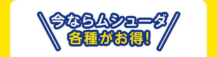 今ならムシューダ各種がお得！