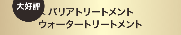 大好評 バリアトリートメント ウォータートリートメント