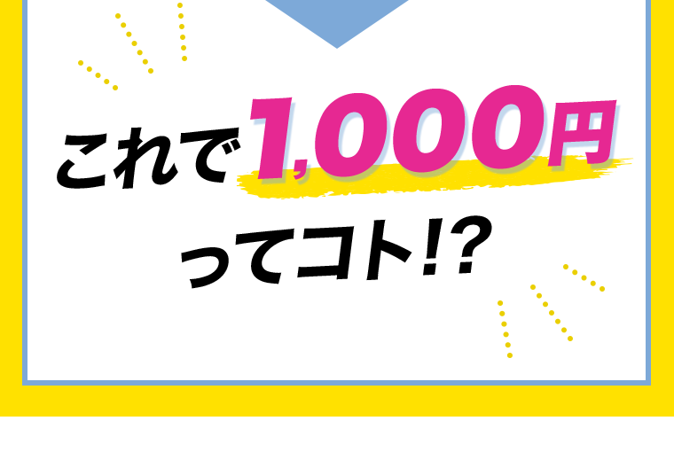 これで1,000円ってコト!?