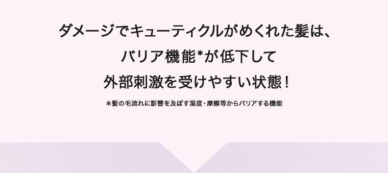 ダメージでキューティクルがめくれた髪は、バリア機能が低下して外部刺激を受けやすい状態!