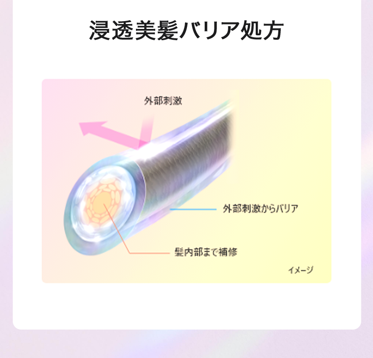 浸透美髪バリア処方