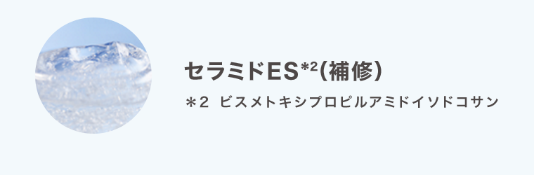 セラミドES(補修)