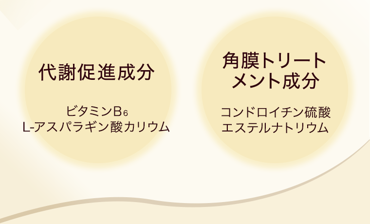 代謝促進成分　ビタミンB6 L-アスパラギン酸カリウム／角膜トリートメント成分　コンドロイチン硫酸エステルナトリウム