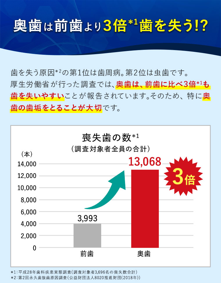 奥歯は前歯より3倍歯を失う！？