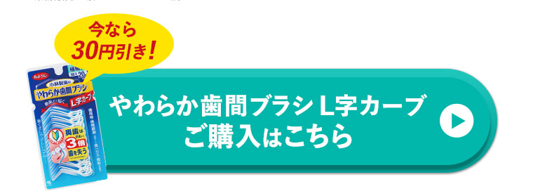 やわらか歯間ブラシL字カーブ　ご購入はこちら