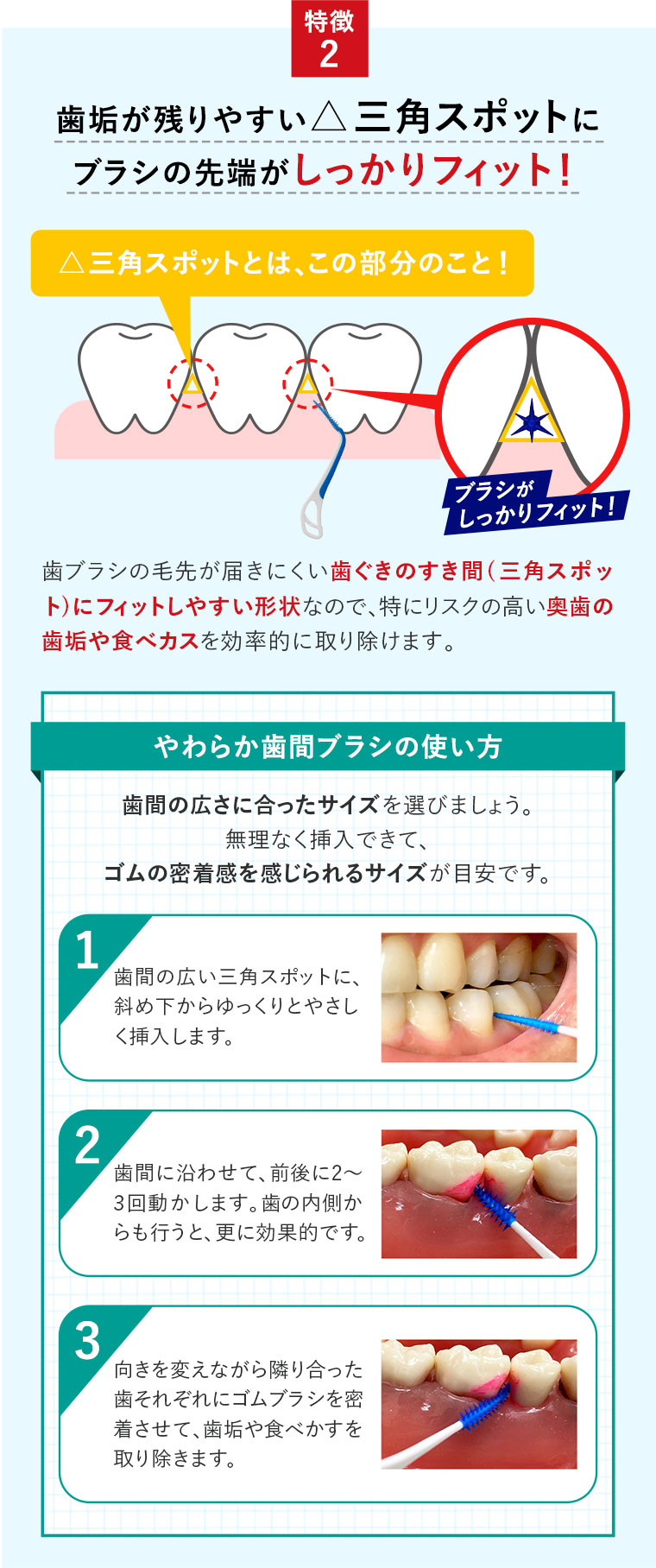 歯垢が残りやすい三角スポットにブラシの先端がしっかりフィット！