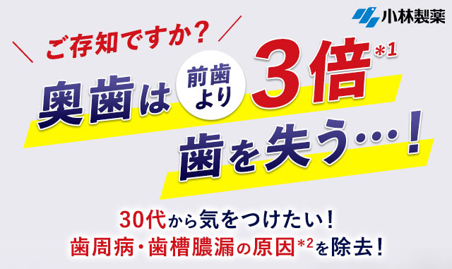ご存じですか？奥歯は前歯より3倍歯を失う…！