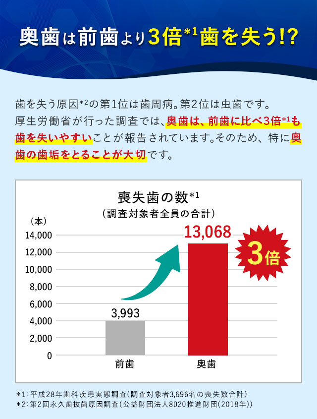 奥歯は前歯より3倍歯を失う！？