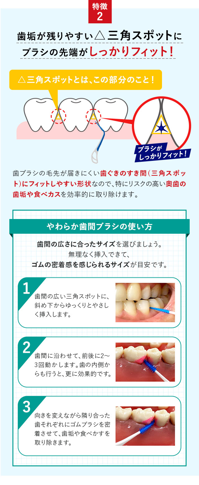 歯垢が残りやすい三角スポットにブラシの先端がしっかりフィット！