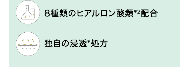 8種類のヒアルロン酸類＊2配合　独自の浸透＊処方