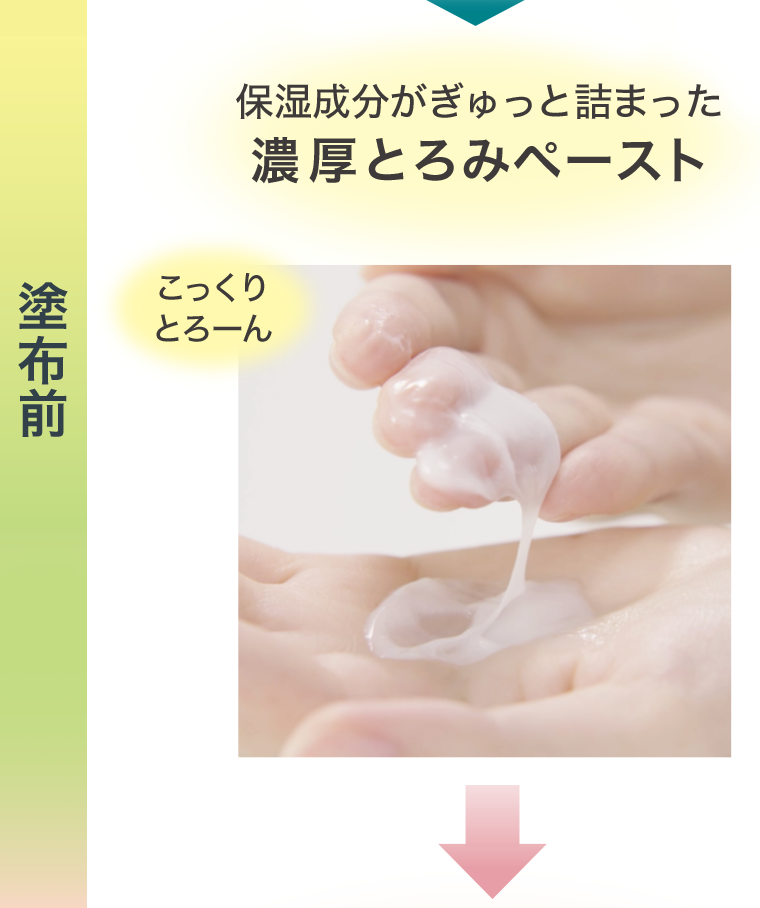 塗布前