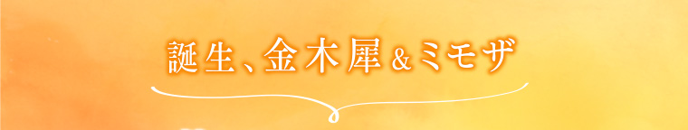 誕生、金木犀&ミモザ