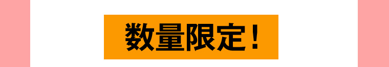 数量限定!