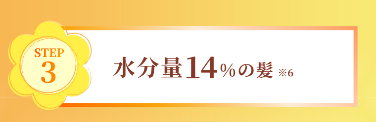 STEP3 水分量14%の髪 ※6