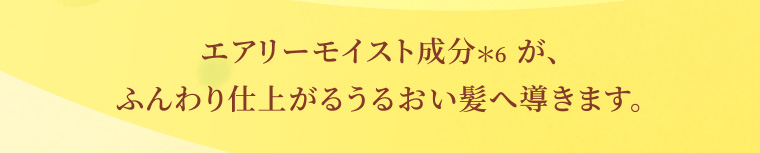 エアリーモイスト成分*6が、ふんわり仕上がるうるおい髪へ導きます。