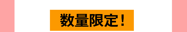 数量限定!