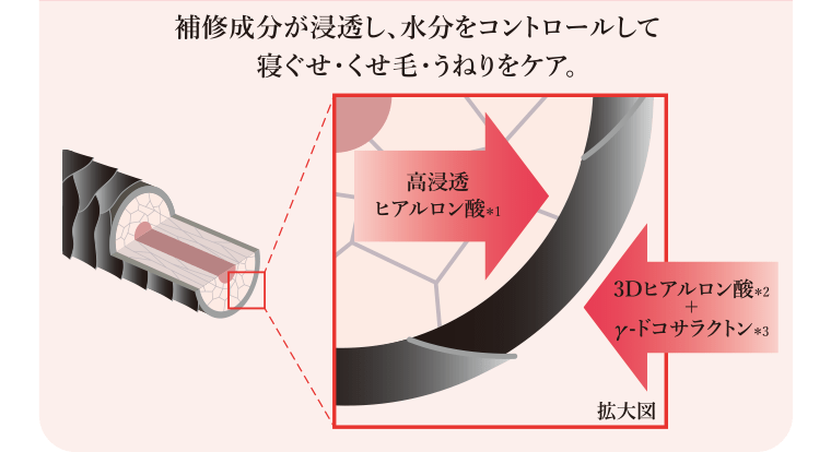 補修成分が浸透し、水分をコントロールして寝ぐせ・くせ毛・うねりをケア。