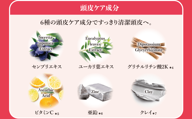 【頭皮ケア成分】6種の頭皮ケア成分ですっきり清潔頭皮へ。センブリエキス／ユーカリ葉エキス／グリチルリチン酸2K＊4／ビタミンC＊5／亜鉛＊6／クレイ＊7