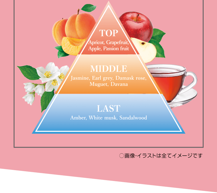 ○画像・イラストは全てイメージです