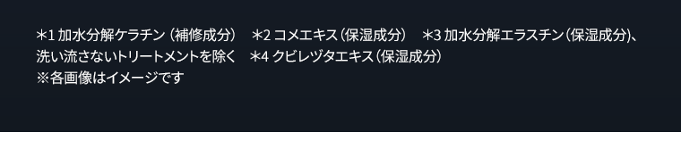 *1 加水分解ケラチン（補修成分）　*2 コメエキス（保湿成分）　*3 加水分解エラスチン（保湿成分）、洗い流さないトリートメントを除く　*4 クビレヅタエキス（保湿成分）　※各画像はイメージです