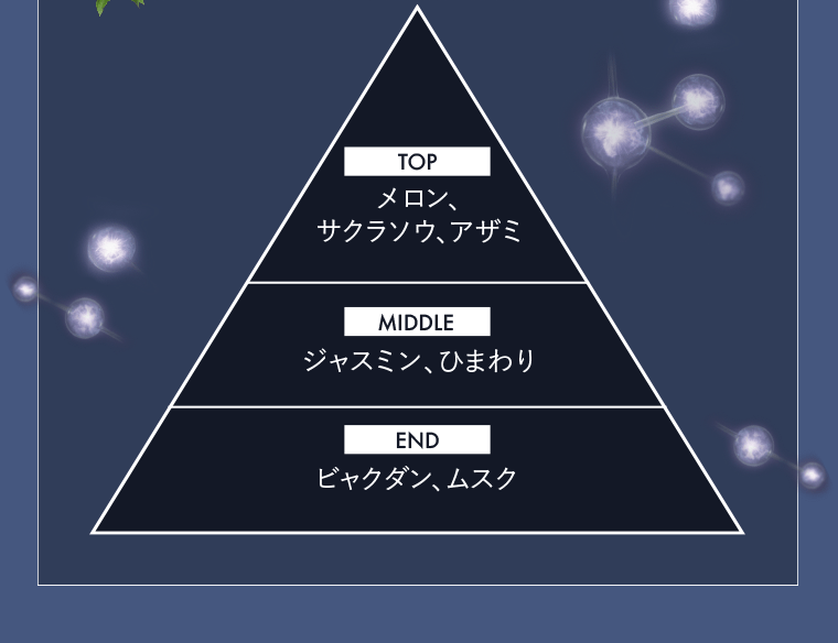 【TOP】メロン、サクラソウ、アザミ【MIDDLE】ジャスミン、ひまわり【END】ビャクダン、ムスク