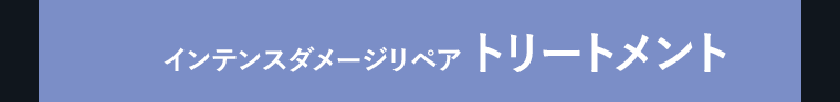 インテンスダメージリペア　トリートメント