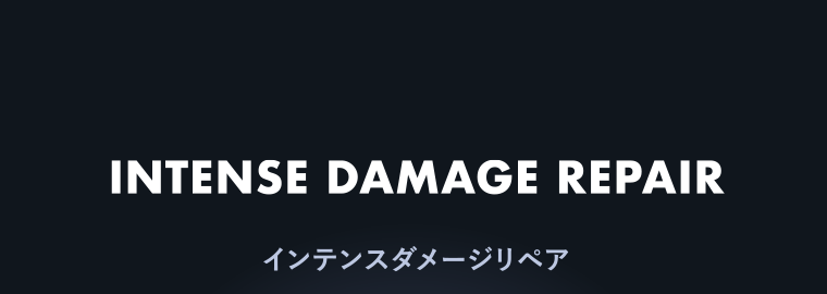 INTENSE DAMAGE REPAIR　インテンスダメージリペア