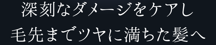 深刻なダメージをケアし毛先までツヤに満ちた髪へ