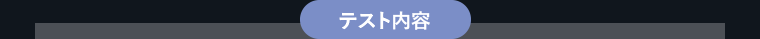 テスト内容