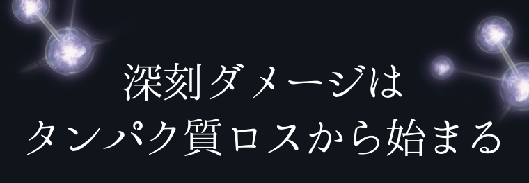 深刻ダメージはタンパク質ロスから始まる