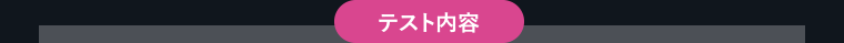 テスト内容
