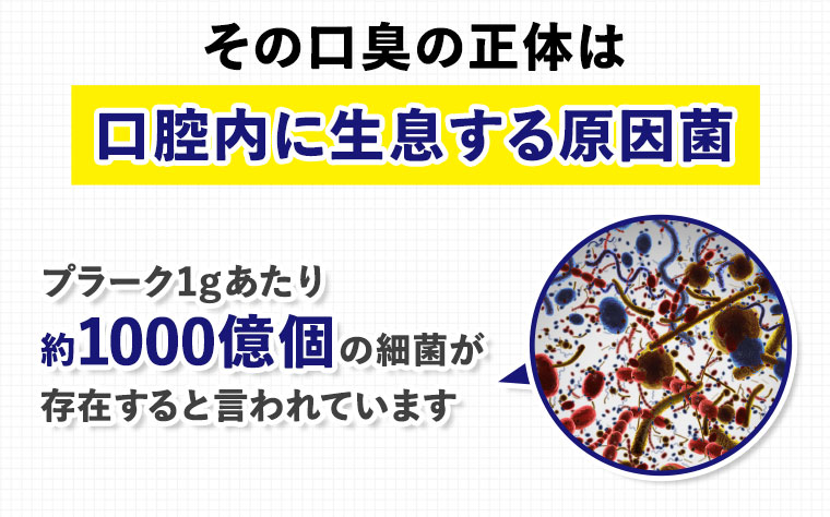 その口臭の正体は口腔内に生息する原因菌
