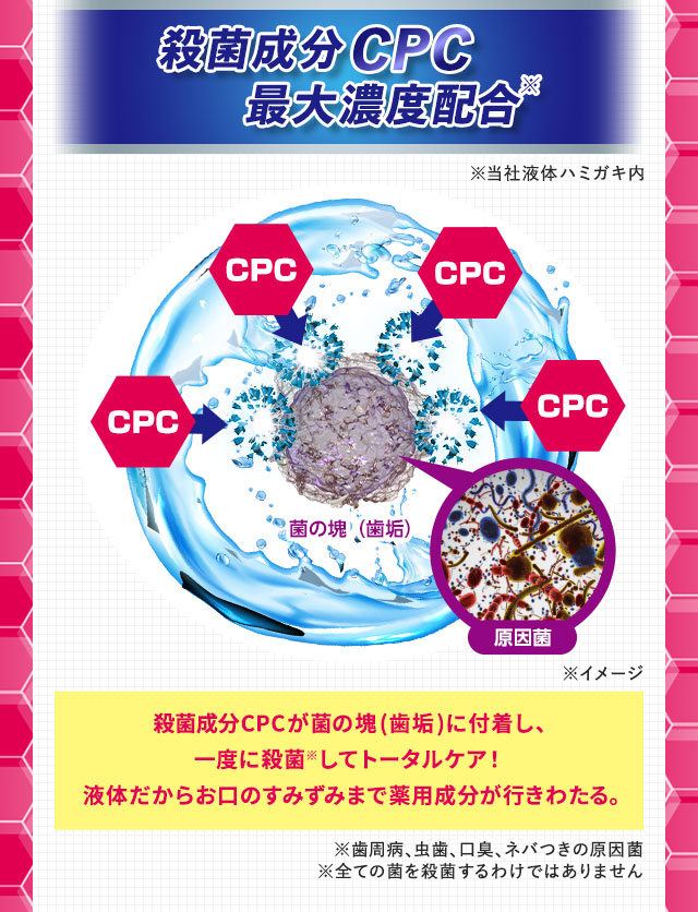 殺菌成分　CPC　最大濃度配合