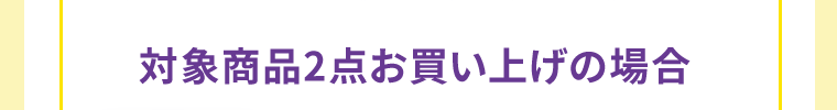 対象商品2点お買い上げの場合
