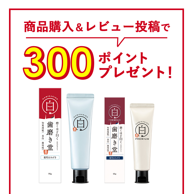 商品購入＆レビュー投稿で300ポイントプレゼント！