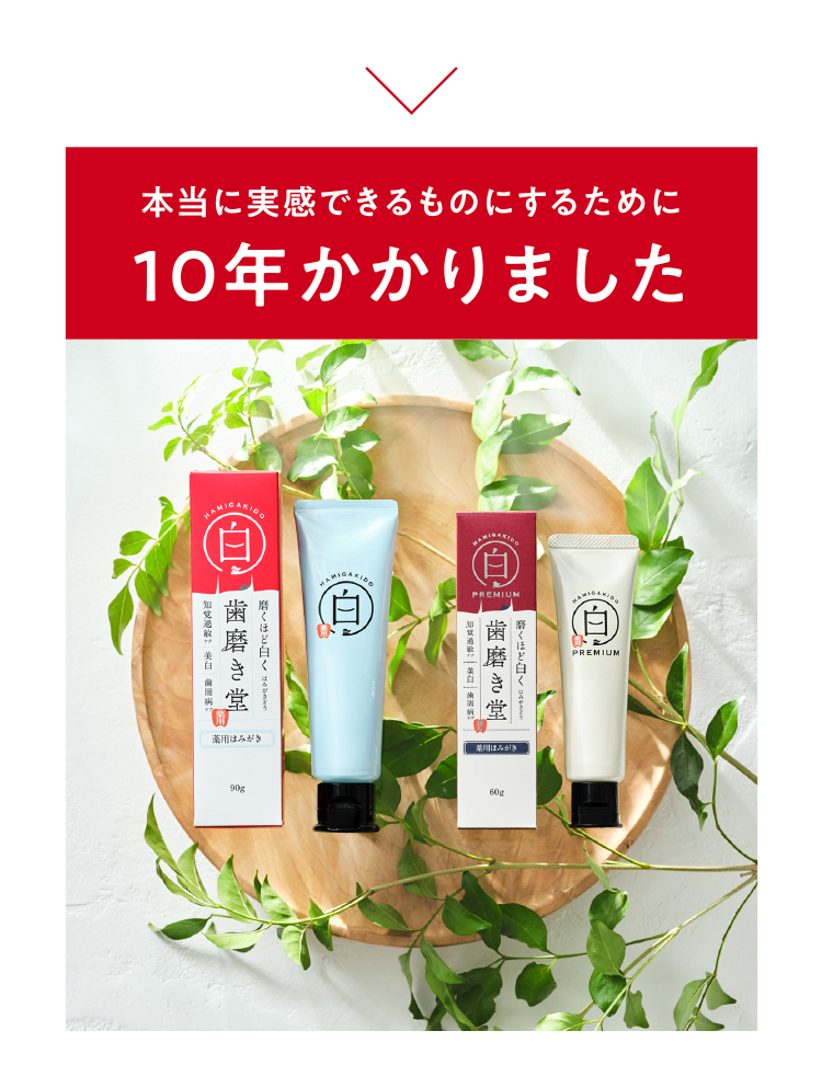 本当に実感できるものにするために10年かかりました。