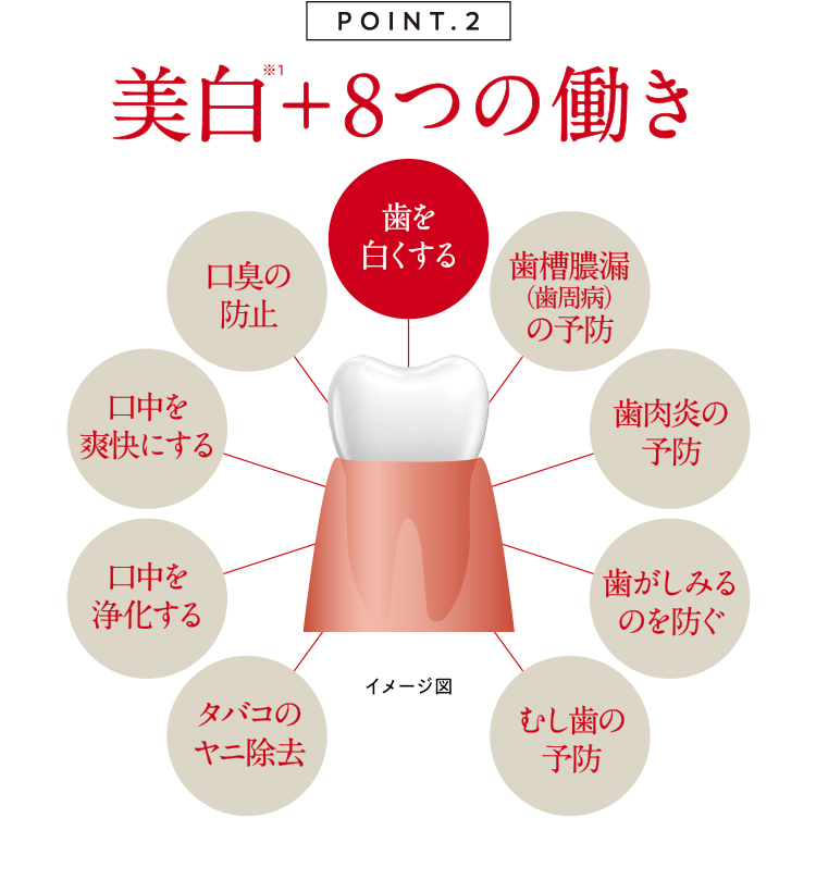 美白＋8つの働き