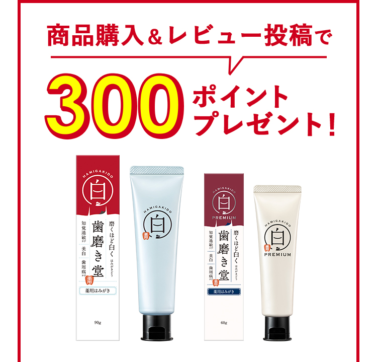 商品購入＆レビュー投稿で300ポイントプレゼント！