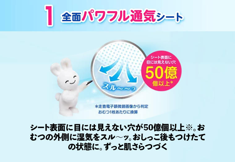 １　全面パワフル通気シート
