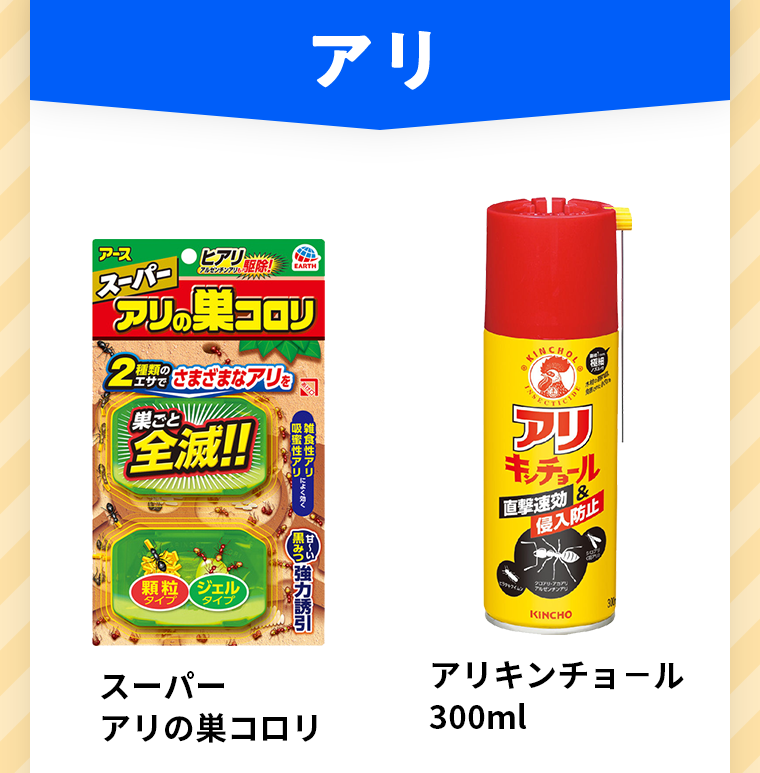 アリ