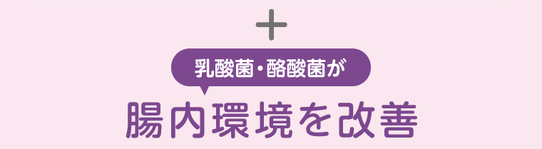 ＋乳酸菌・酪酸菌が腸内環境を改善