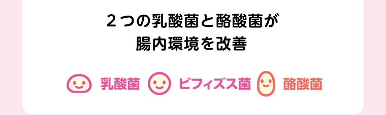 2つの乳酸菌と酪酸菌が腸内環境を改善　乳酸菌／ビフィズス菌／酪酸菌