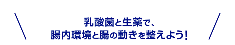 乳酸菌と生薬で、腸内環境と腸の動きを整えよう！