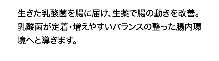 生きた乳酸菌を腸に届け、生薬で腸の動きを改善。乳酸菌が定着・増えやすいバランスの整った腸内環境へと導きます。