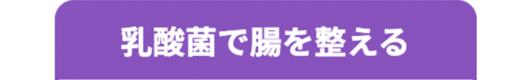 乳酸菌で腸を整える