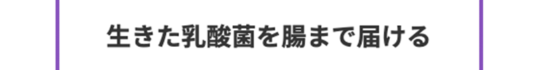生きた乳酸菌を腸まで届ける